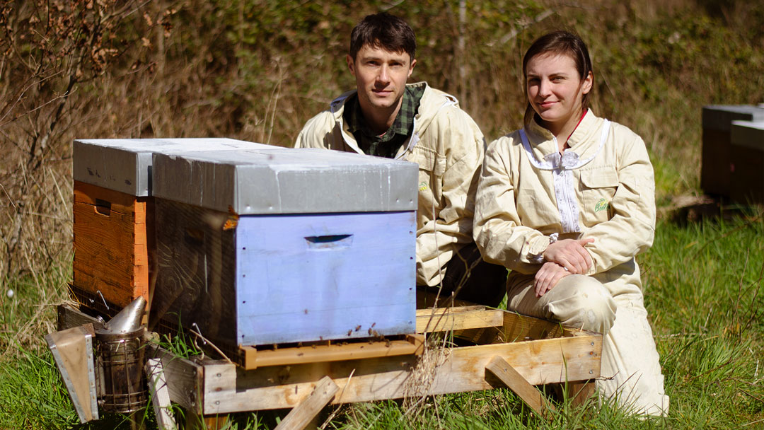 Producteur miel Saumur